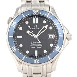 Omega Seamaster Professional 2531.80 Stainless Steel Automatic Watch